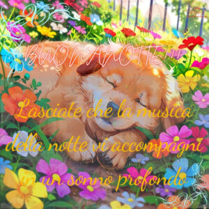 immagini buonanotte estive 32